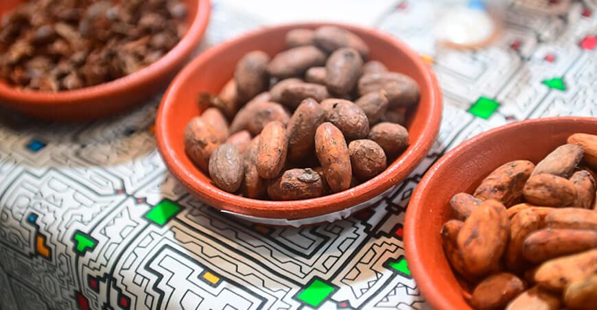 Perú exportación de cacao en grano peruano