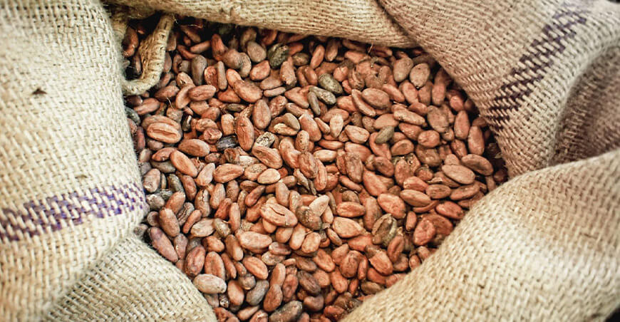 Perú exportación de cacao sostenible bajo reglamento Unión Europea
