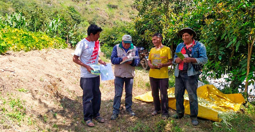 Realizan Encuesta Nacional de Intenciones de Siembra en La Libertad Perú