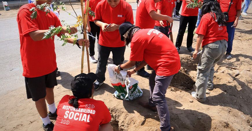 Plantaron más de 300 árboles para transformar alrededores del Humedal Pantanos de Villa