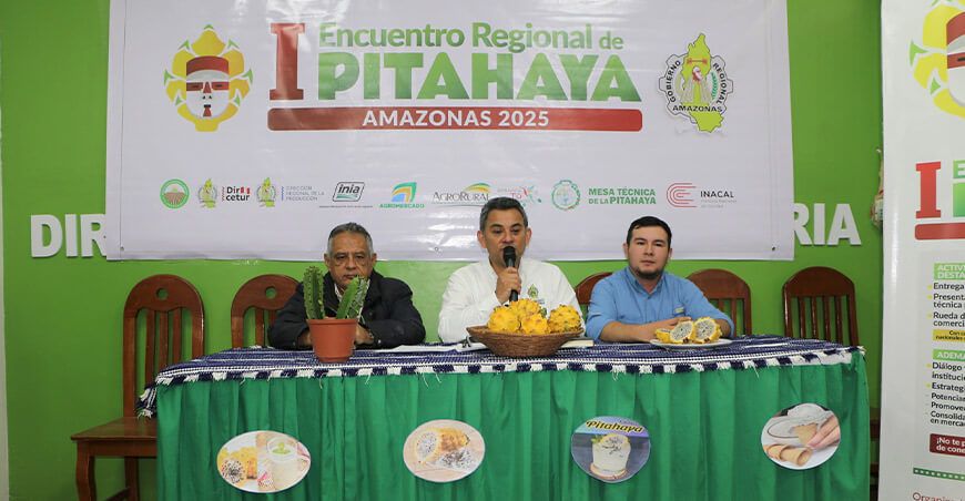 Primer Encuentro Regional de Pitahaya - Amazonas Perú
