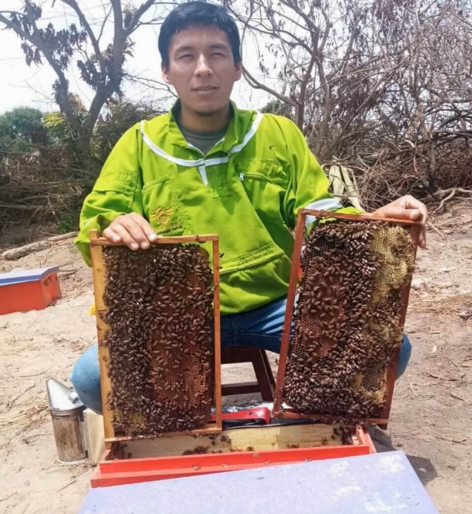 ProInnóvate presenta proyectos innovadores que promueven la conservación de las abejas Perú