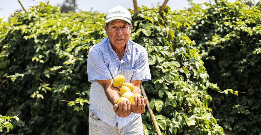 productor de cultivo de maracuyá Huánuco Perú