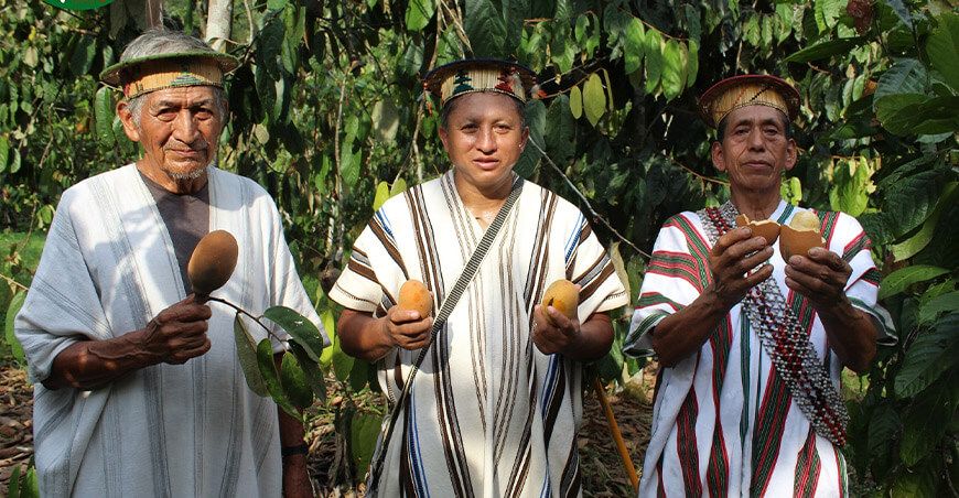 Anecap Perú productores indígenas