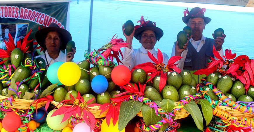Productores de Coyllurqui vendieron 12 toneladas de palta en festival local Apurímac Perú