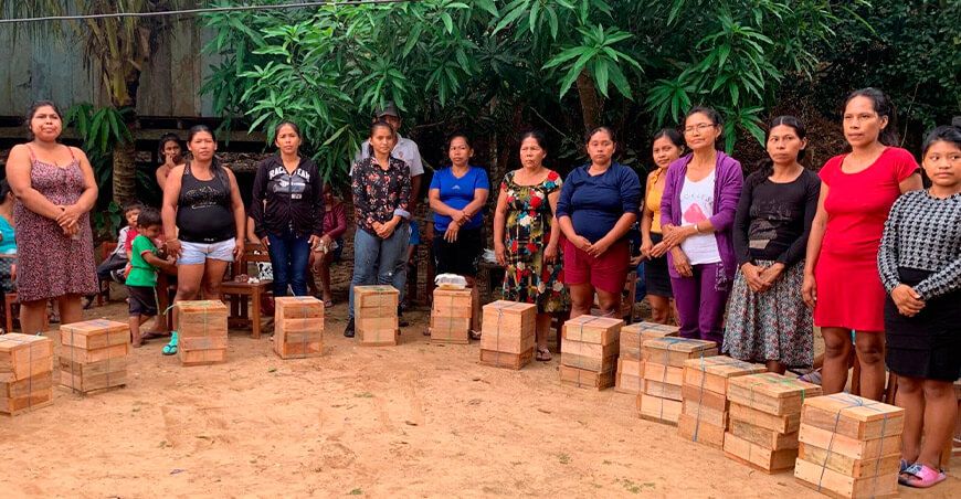 ProInnóvate presenta proyectos innovadores que promueven la conservación de las abejas Perú