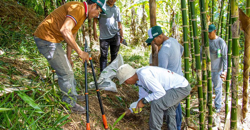 Provraem impulsa desarrollo sostenible con proyecto bambú en el Vraem