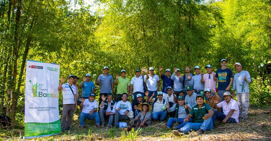 Provraem impulsa desarrollo sostenible con proyecto bambú en el Vraem