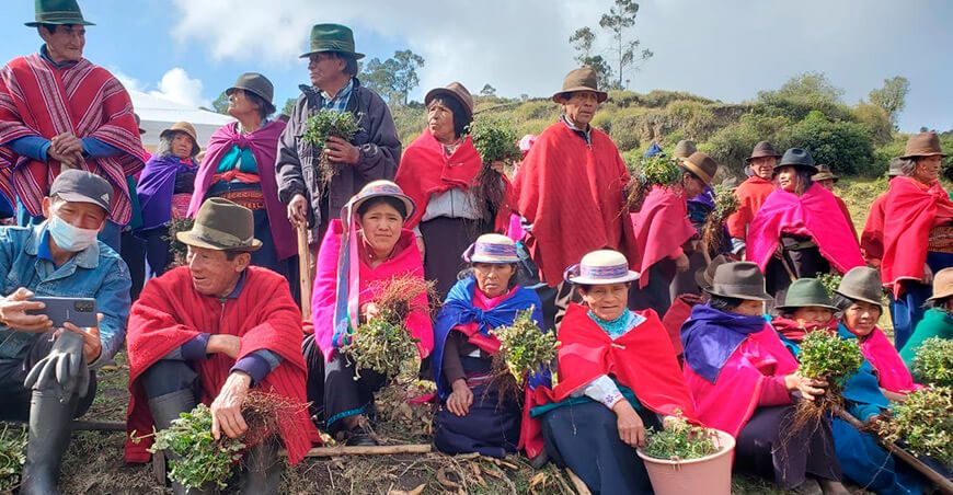 Iniciativa peruana destaca en la restauración ecológica andina Acción Andina Perú