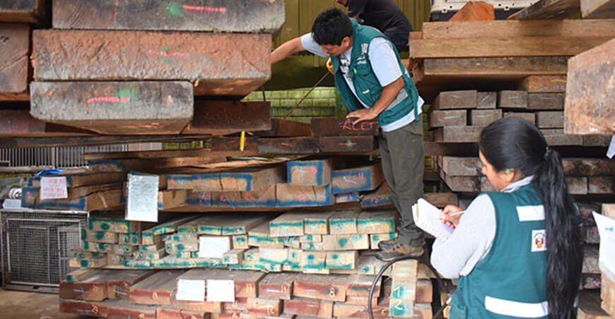 Serfor decomisó cargamento de madera valorizada en S/41 459 en Puno Perú