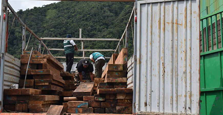 Serfor decomisó cargamento de madera valorizada en S/41 459 en Puno Perú