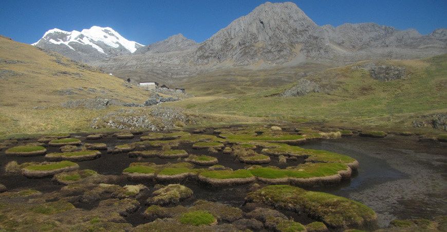 Serfor impulsa nuevo modelo de gestión de ecosistemas frágiles bofedales
