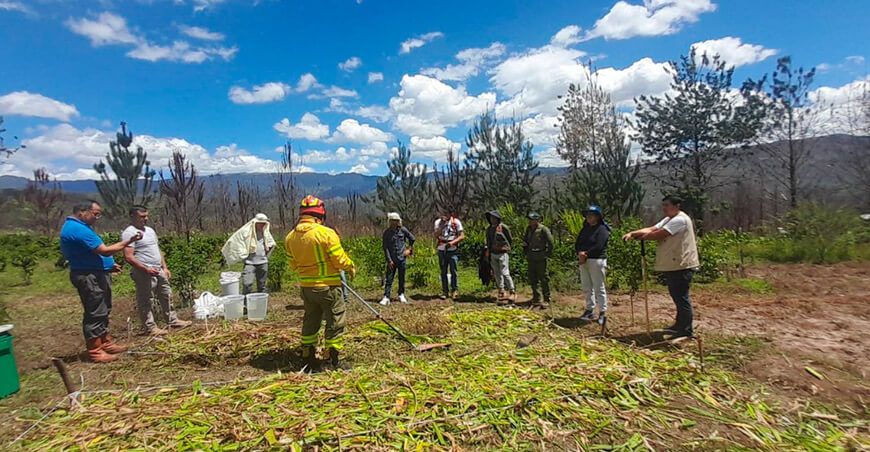 Serfor brindó asistencia técnica para reducir los incendios forestales y proteger los ecosistemas 