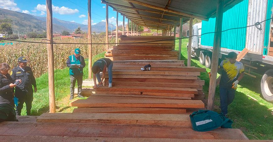Serfor incautó 9665 pies tablares de cedro sin documentación legal en Cusco Perú