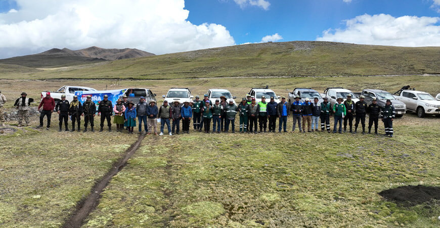 Serfor coordinó patrullaje para prevenir caza furtiva de vicuñas en Ayacucho, Apurímac, Cusco y Arequipa