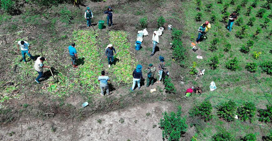 Serfor brindó asistencia técnica para reducir los incendios forestales y proteger los ecosistemas