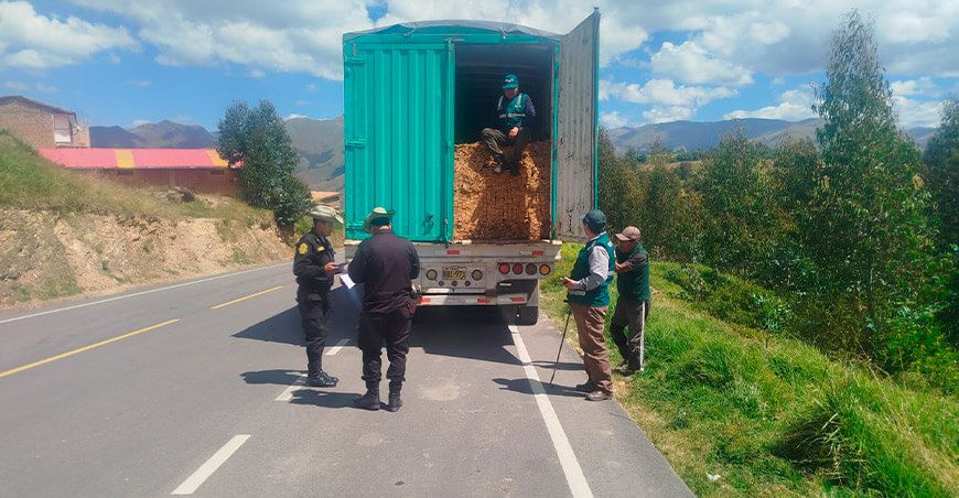 Serfor incautó 9665 pies tablares de cedro sin documentación legal en Cusco Perú