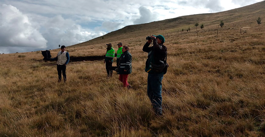 Serfor coordinó patrullaje para prevenir caza furtiva de vicuñas en Ayacucho, Apurímac, Cusco y Arequipa