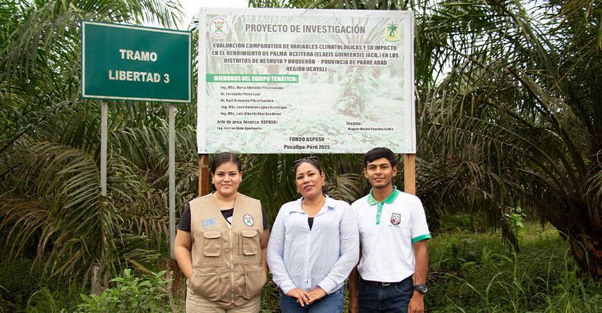 Investigadores evalúan impacto del clima en el rendimiento de la palma aceitera Universidad Nacional de Ucayali