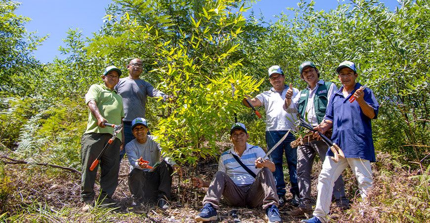 Provraem impulsa desarrollo sostenible con proyecto bambú en el Vraem