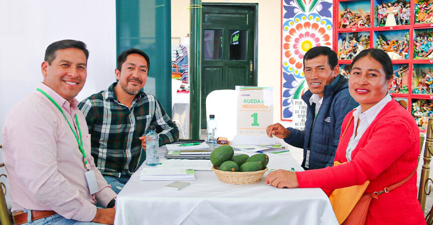 ProPALTA impulsa primera exportación palta Hass de Ayacucho Perú
