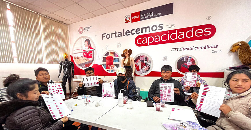 cadena textil camélidos Cusco ITP