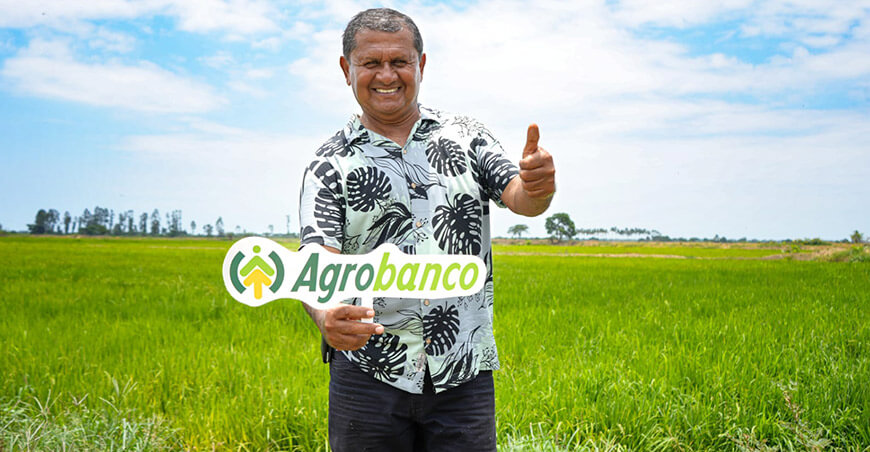 Agrobanco créditos productor de arroz Perú