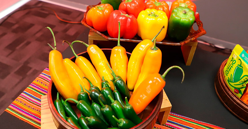 ajíes y pimientos peruanos Capsicum