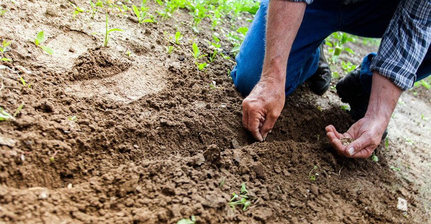 Cemento Yura impulsa programa que beneficia a más de 260 agricultores en Arequipa Perú