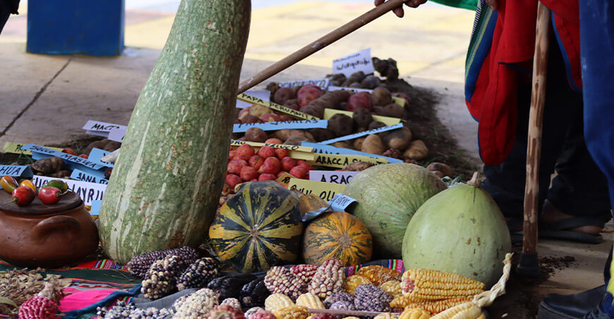 Chacoche, nueva zona de agrobiodiversidad reconocida en Apurímac