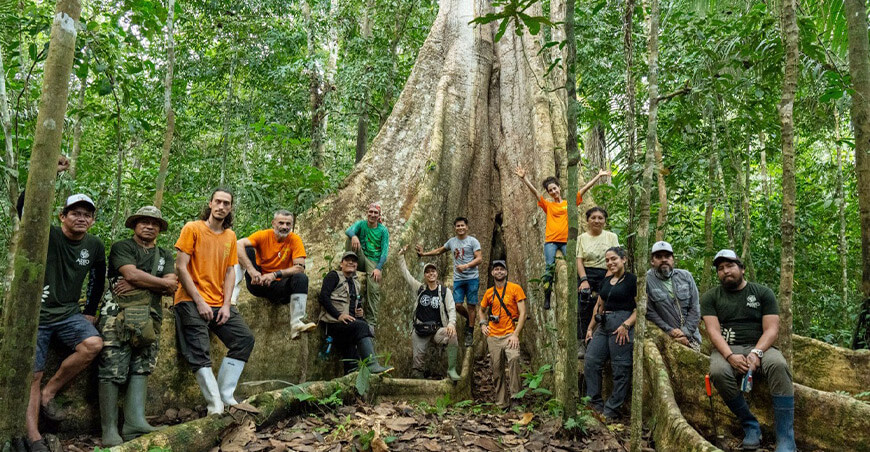 Alianza internacional impulsa la protección de la vida en las copas de los árboles más altos del planeta