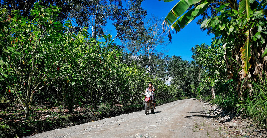 Mejoran 17 km de camino vecinal en Vizcatán del Ene en beneficio de 239 familias agricultoras Junín Devida Perú