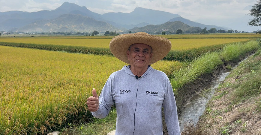 productor de arroz Perú