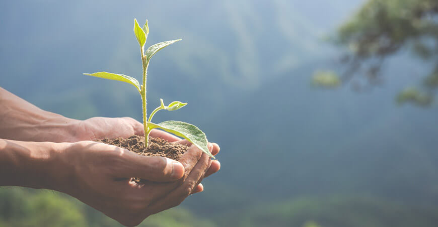 Día Mundial del Medio Ambiente