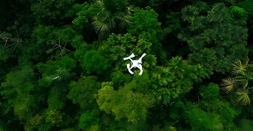 Mapean palmeras con alta precisión y menor costo gracias a drones e inteligencia artificial Perú