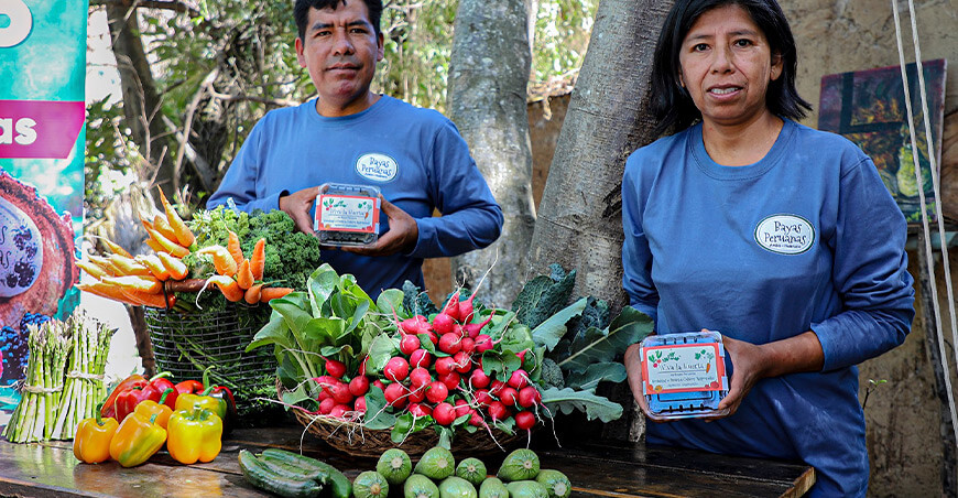 Empresa Bayas Peruanas de Huánuco obtiene certificación HACCP para fortalecer la comercialización de berries y hortalizas orgánicas