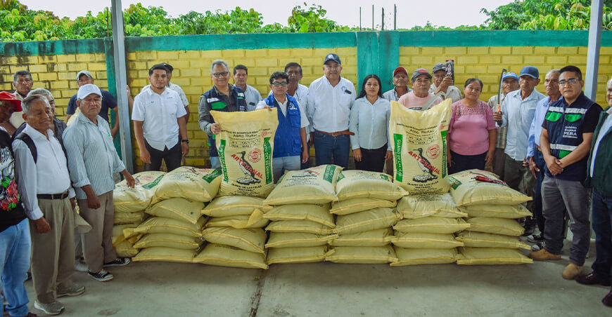 Piura impulsa mejora de la cadena productiva del mango en Tambogrande