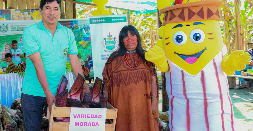 Entregaron 60 000 hijuelos de plátano a productores de 10 comunidades de Unión Asháninka Cusco Perú