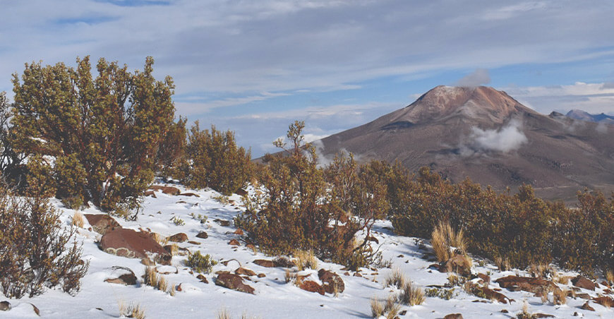 Perú es sede del Taller Regional de Estadísticas Forestales para América del Sur