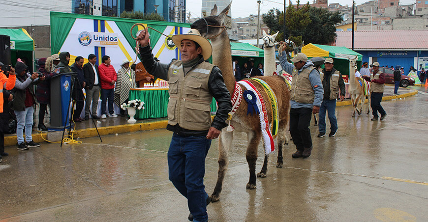 Expo Nacional Meseta del Bombón Ninacaca Pasco Perú