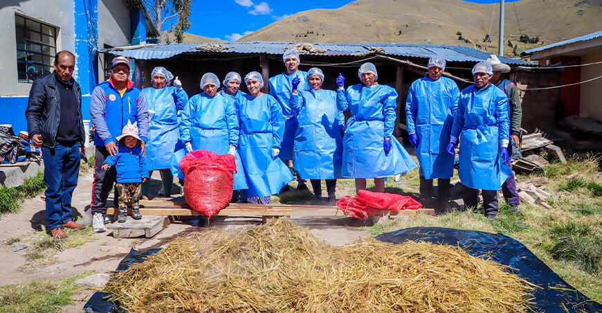 Capacitan en producción de setas o k’allampas como alternativa nutricional en Livitaca Cusco Perú