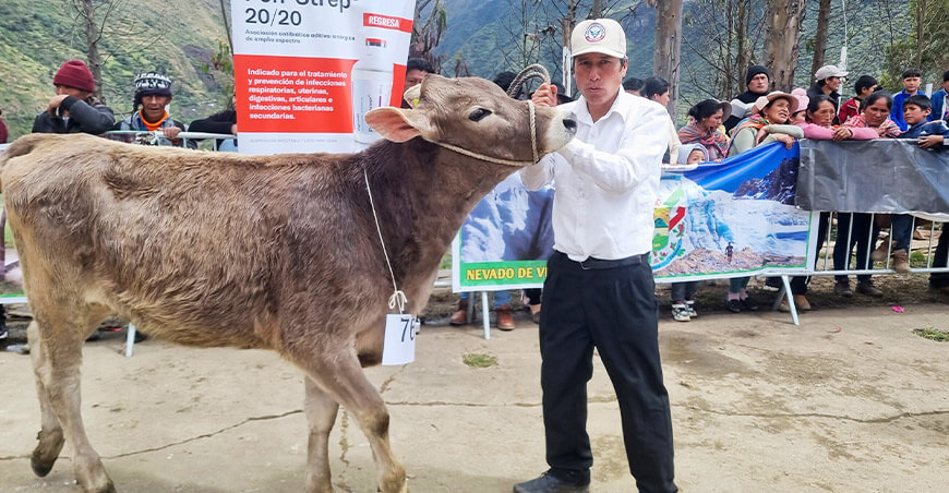 Expo Feria Canipaco y el Concurso Tradicional de Herranza y Santiago Junín Perú