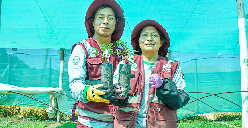 GORE Cusco instalará plantones nativos reforestación