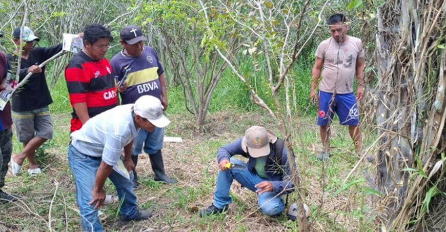 IIAP recupera 80 hectáreas de camu camu en Loreto y Ucayali