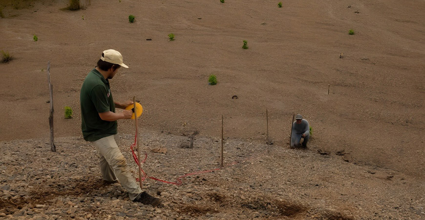 IIAP lidera la restauración de zonas degradadas por minería aurífera en Madre de Dios