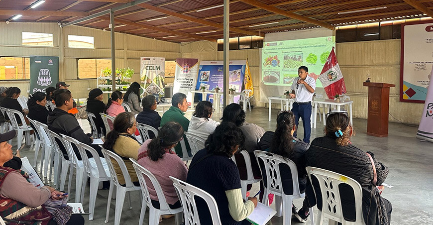 INIA capacitó a madres de ollas comunes de Pachacámac en cultivo hidropónico de hortalizas Lima Perú