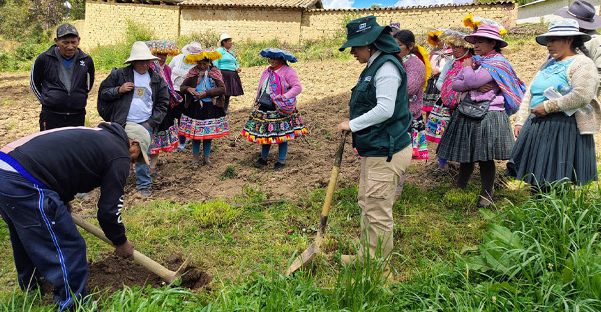 INIA Perú capacita a productores
