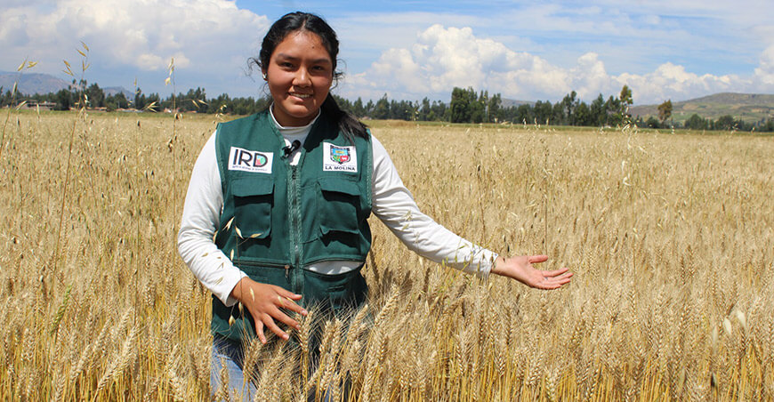 IRD Sierra Lima