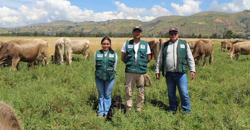 IRD-Sierra de la UNALM