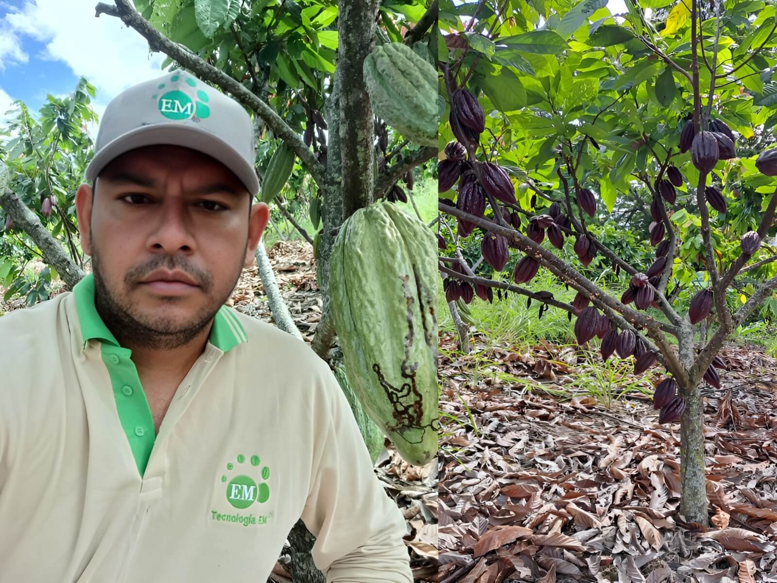 Ing. Zoot. Javier Ortiz Zelada, propietario del fundo “Recuerdo Tigrepampa”, región Amazonas Perú